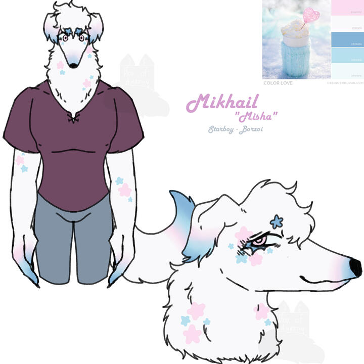 Fursona Misha